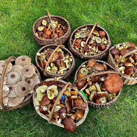 Mojego Dziadka * Dlugie (Pomerania)