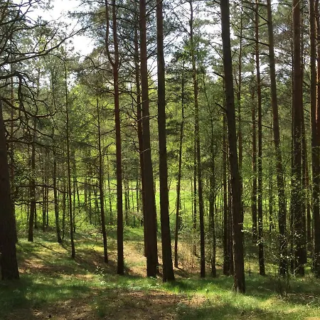 Mojego Dziadka Dlugie (Pomerania)