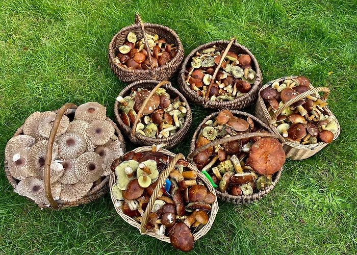 Mojego Dziadka * Dlugie (Pomerania)