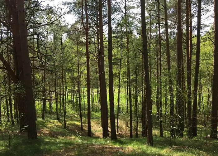 Mojego Dziadka Dlugie (Pomerania)